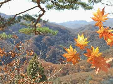 新年首“虎”现身，国家烟草专卖局原副局长张天峰被查|界面新闻 · 中国