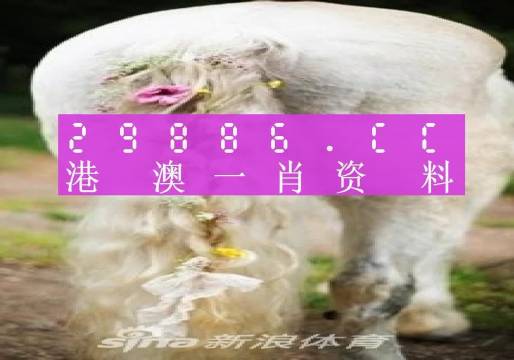 澳门一肖一码100精准2023--作答解释落实--网页版v989.704