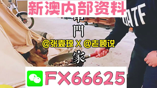 2024澳门管家婆资料大全免费--引发热议与讨论--实用版622.958