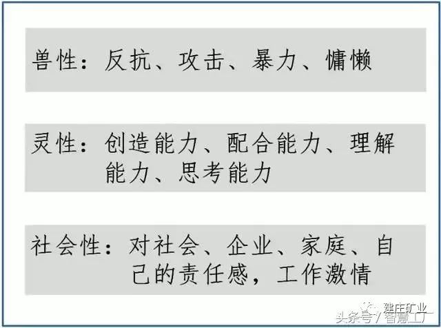 三期必开一期三期必出特--结论释义解释落实--V95.51.55